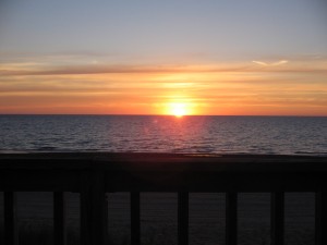 IMG_0459