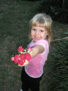 trose