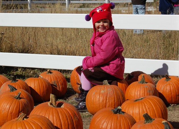 pumpkins & child pumpkins & child