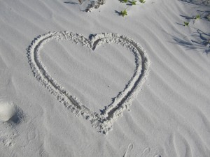 IMG_0053 (2) IMG_0053 (2)