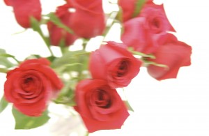 roses