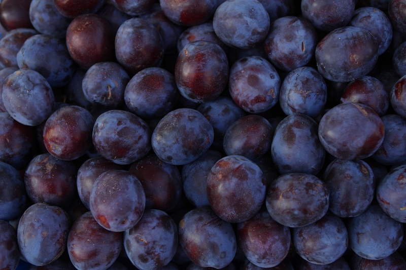 AgeEsteem » Purple Plums For Age Esteem