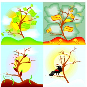seasons