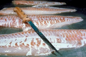 Fish
