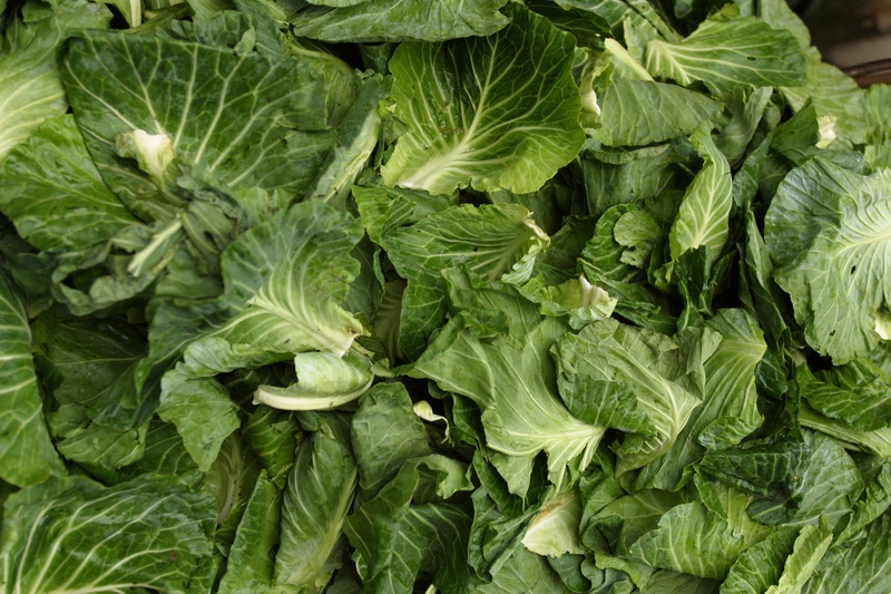 AgeEsteem » Kale For Healthy Aging